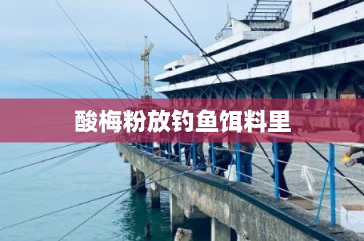 酸梅粉放钓鱼饵料里