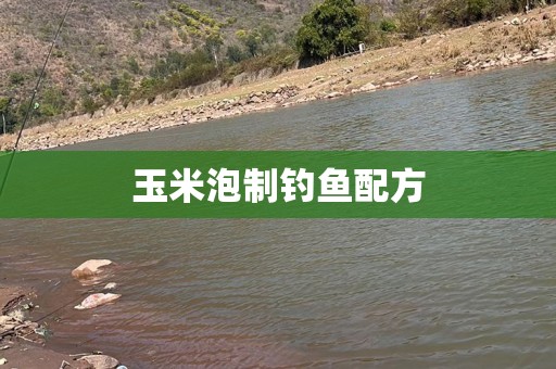 玉米泡制钓鱼配方