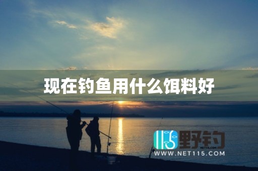现在钓鱼用什么饵料好