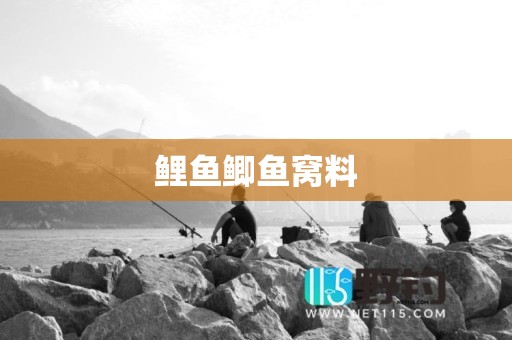 鲤鱼鲫鱼窝料