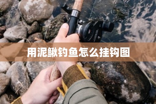 用泥鳅钓鱼怎么挂钩图