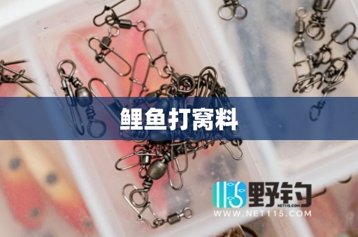 鲤鱼打窝料