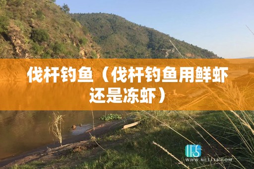 伐杆钓鱼（伐杆钓鱼用鲜虾还是冻虾）