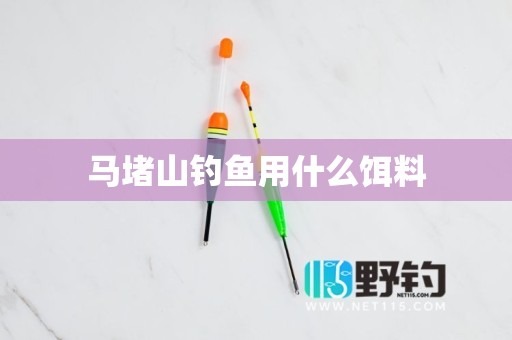 马堵山钓鱼用什么饵料