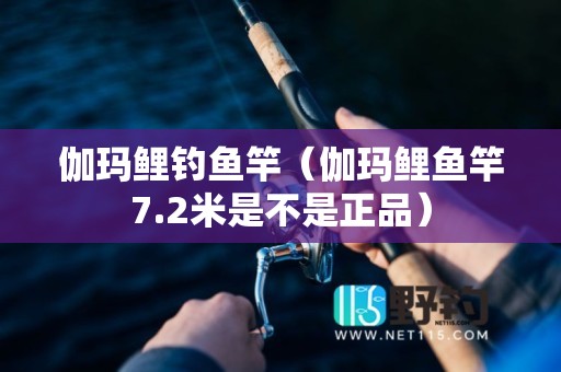 伽玛鲤钓鱼竿（伽玛鲤鱼竿7.2米是不是正品）