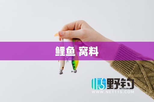 鲤鱼 窝料