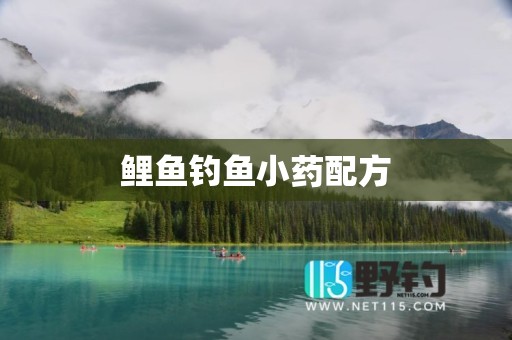 鲤鱼钓鱼小药配方