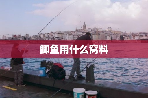 鲫鱼用什么窝料