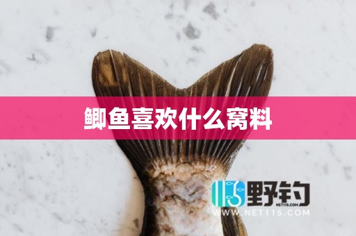 鲫鱼喜欢什么窝料