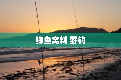 鲫鱼窝料 野钓