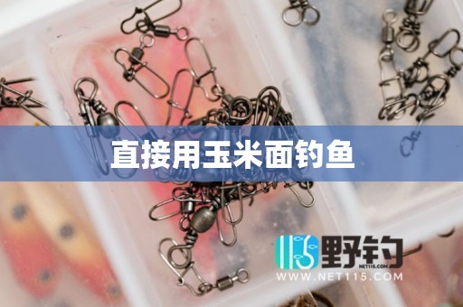 直接用玉米面钓鱼