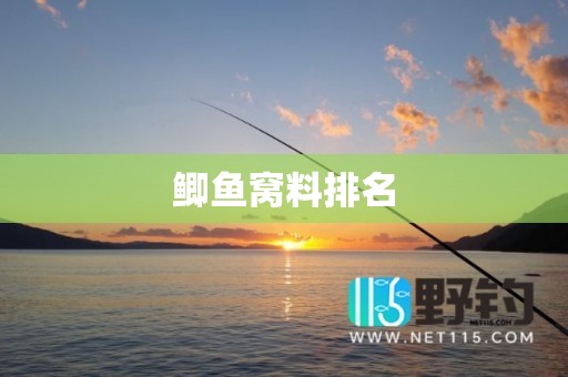鲫鱼窝料排名