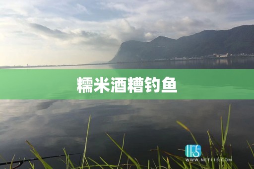 糯米酒糟钓鱼