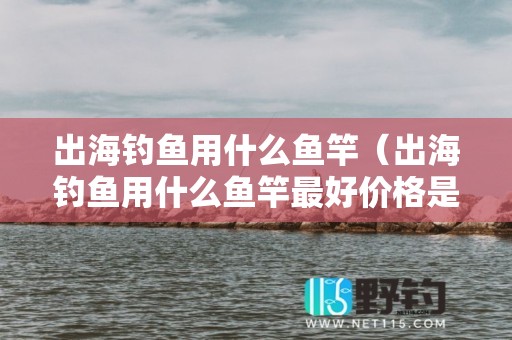 出海钓鱼用什么鱼竿（出海钓鱼用什么鱼竿最好价格是多少）