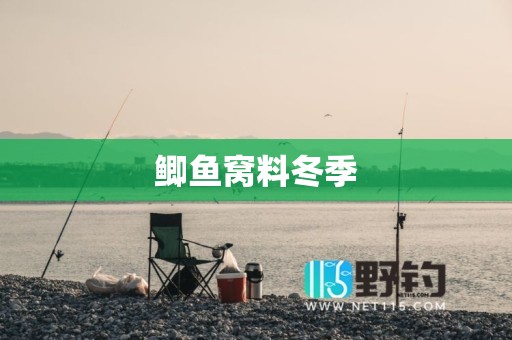 鲫鱼窝料冬季