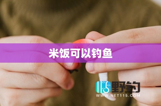 米饭可以钓鱼