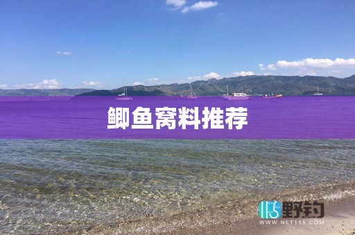 鲫鱼窝料推荐