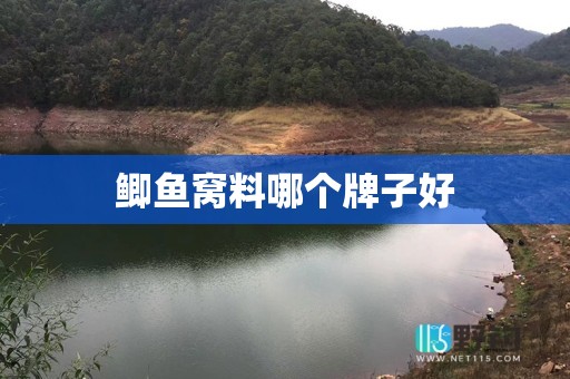 鲫鱼窝料哪个牌子好