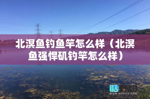 北溟鱼钓鱼竿怎么样（北溟鱼强悍矶钓竿怎么样）
