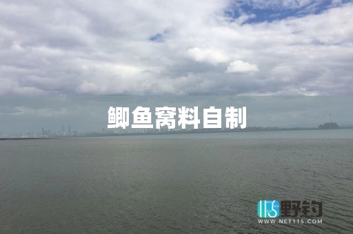 鲫鱼窝料自制