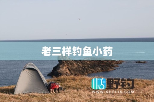 老三样钓鱼小药