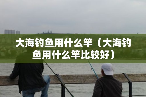 大海钓鱼用什么竿（大海钓鱼用什么竿比较好）