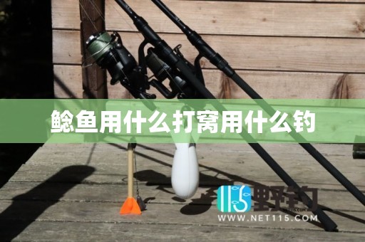 鲶鱼用什么打窝用什么钓