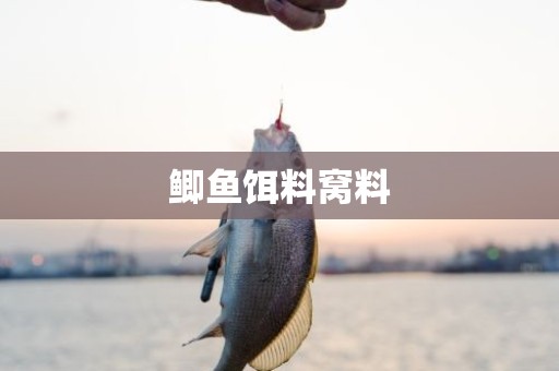 鲫鱼饵料窝料