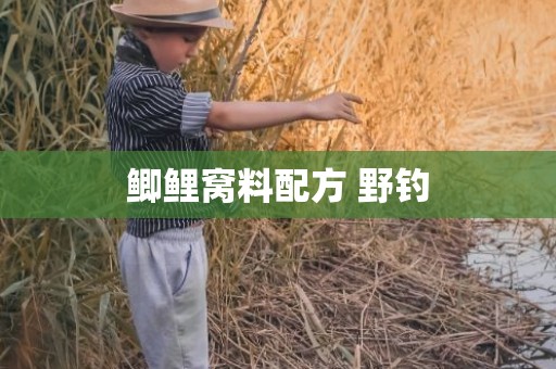 鲫鲤窝料配方 野钓
