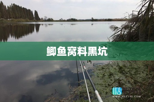 鲫鱼窝料黑坑