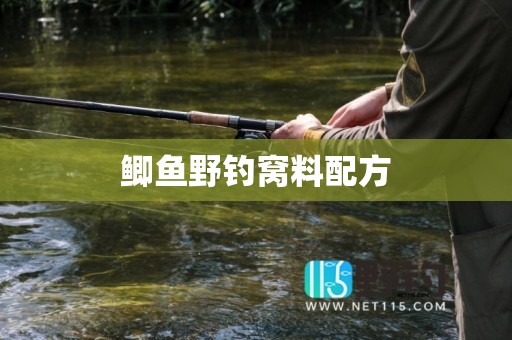 鲫鱼野钓窝料配方