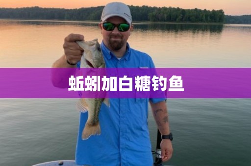 蚯蚓加白糖钓鱼