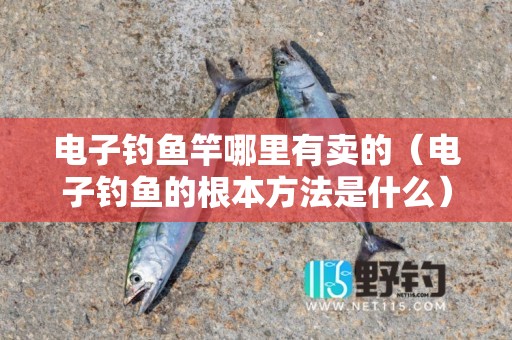 电子钓鱼竿哪里有卖的（电子钓鱼的根本方法是什么）