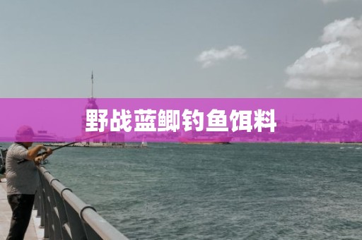 野战蓝鲫钓鱼饵料