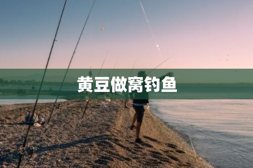黄豆做窝钓鱼