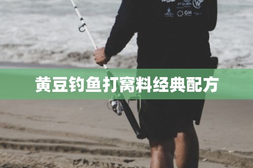 黄豆钓鱼打窝料经典配方