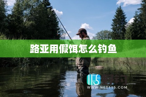 路亚用假饵怎么钓鱼