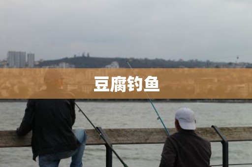 豆腐钓鱼