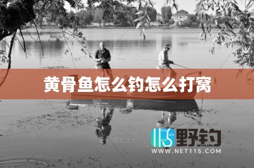黄骨鱼怎么钓怎么打窝