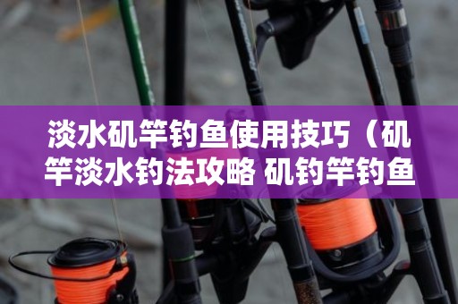 淡水矶竿钓鱼使用技巧（矶竿淡水钓法攻略 矶钓竿钓鱼方法）