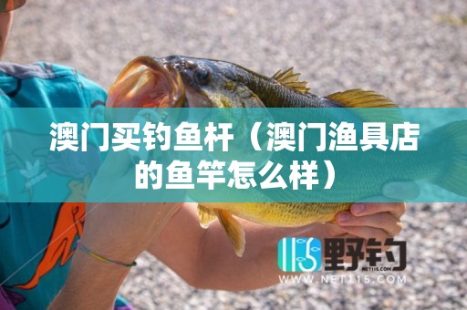 澳门买钓鱼杆（澳门渔具店的鱼竿怎么样）