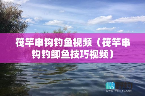 筏竿串钩钓鱼视频（筏竿串钩钓鲫鱼技巧视频）
