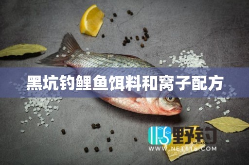黑坑钓鲤鱼饵料和窝子配方
