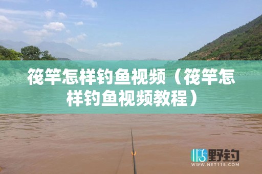 筏竿怎样钓鱼视频（筏竿怎样钓鱼视频教程）