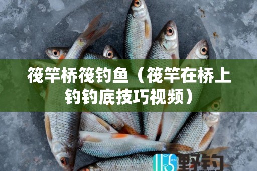 筏竿桥筏钓鱼（筏竿在桥上钓钓底技巧视频）