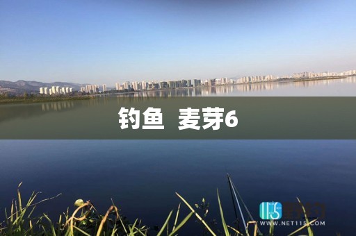 钓鱼  麦芽6