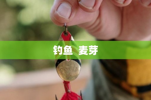 钓鱼  麦芽