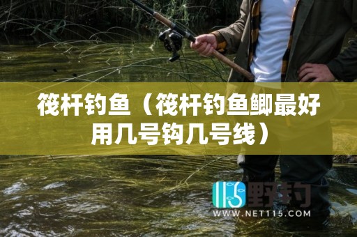 筏杆钓鱼（筏杆钓鱼鲫最好用几号钩几号线）