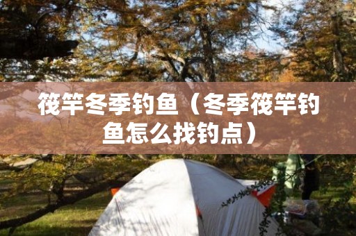筏竿冬季钓鱼（冬季筏竿钓鱼怎么找钓点）