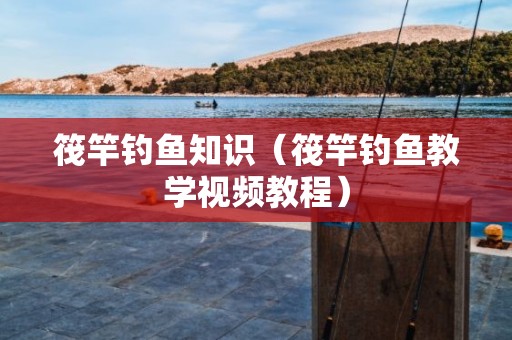 筏竿钓鱼知识（筏竿钓鱼教学视频教程）